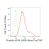 KD-Validated Phospho-eIF4B (S406) Rabbit mAb (20 μl)