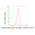 KD-Validated APLP2 Rabbit mAb (20 μl)