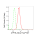 KD-Validated ATP7B Rabbit mAb (20 μl)