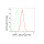 KD-Validated APPL1 Rabbit mAb (20 μl)
