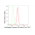 KD-Validated IFT88 Rabbit mAb (20 μl)
