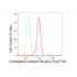 KD-Validated IFT88 Rabbit mAb (20 μl)