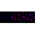 KD-Validated IFT88 Rabbit mAb (20 μl)