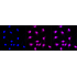 KD-Validated IQGAP2 Rabbit mAb (20 μl)
