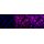 KD-Validated KIF5B Rabbit mAb (20 μl)