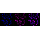 KD-Validated KIF23 Rabbit mAb (20 μl)
