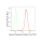 KD-Validated cleaved Caspase-9 Rabbit mAb (20 μl)
