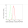 KD-Validated NUDT1 Rabbit mAb (20 μl)