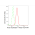 KD-Validated NUDT1 Rabbit mAb (20 μl)
