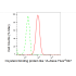 KD-Validated OSBPL1A Rabbit mAb (20 μl)