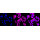 KD-Validated Phospho-GYS1 (S641) Rabbit mAb (20 μl)