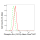 KD-Validated Phospho-Src (Y419) Rabbit mAb (20 μl)