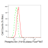 KD-Validated Phospho-Src (Y419) Rabbit mAb (20 μl)