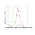 KD-Validated Phospho-PKCA (T638) Rabbit mAb (20 μl)