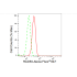 KD-Validated RAD50 Rabbit mAb (20 μl)