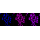 KD-Validated RANBP9 Rabbit mAb (20 μl)