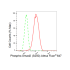 KD-Validated Phospho-Smad2 (S250) Rabbit mAb (20 μl)