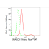 KD-Validated SMARCC1 Rabbit mAb (20 μl)