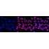 KD-Validated Phospho-STAT1 (S727) Rabbit mAb (20 μl)