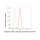 KD-Validated TRIM24 Rabbit mAb (20 μl)