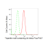 KD-Validated TRIM24 Rabbit mAb (20 μl)