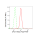 KD-Validated UFC1 Rabbit mAb (20 μl)