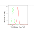 KD-Validated VPS35 Rabbit mAb (20 μl)