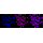 KD-Validated ATG5 Rabbit mAb (20 μl)