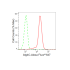 KD-Validated Atg4C Rabbit mAb (20 μl)