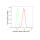 KD-Validated Cullin4A Rabbit mAb (20 μl)
