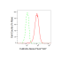 KD-Validated Cullin4A Rabbit mAb (20 μl)