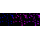 KD-Validated CASP2 Rabbit mAb (20 μl)