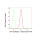 KD-Validated CTPS1 Rabbit mAb (20 μl)