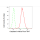 KD-Validated CASP9 Rabbit mAb (20 μl)