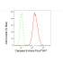 KD-Validated CASP9 Rabbit mAb (20 μl)