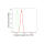 KD-Validated Nicastrin Rabbit mAb (20 μl)