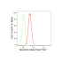 KD-Validated Nicastrin Rabbit mAb (20 μl)