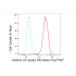 KD-Validated Histone H3 (acetyl K9) Rabbit mAb (20 μl)