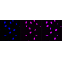 KD-Validated Histone H3 (acetyl K27) Rabbit mAb (20 μl)