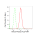KD-Validated HAUS7 Rabbit mAb (20 μl)