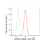 KD-Validated HAUS7 Rabbit mAb (20 μl)