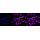 KD-Validated HAUS7 Rabbit mAb (20 μl)