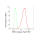 KD-Validated ERK1/2 Rabbit mAb (20 μl)