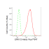 KD-Validated ERK1/2 Rabbit mAb (20 μl)