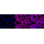 KD-Validated ERK1/2 Rabbit mAb (20 μl)