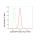 KD-Validated p38 MAPK Rabbit mAb (20 μl)