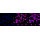 KD-Validated p38 MAPK Rabbit mAb (20 μl)
