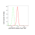 KD-Validated p38 MAPK Rabbit mAb (20 μl)