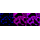 KD-Validated p38 MAPK Rabbit mAb (20 μl)