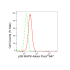 KD-Validated p38 MAPK Rabbit mAb (20 μl)
